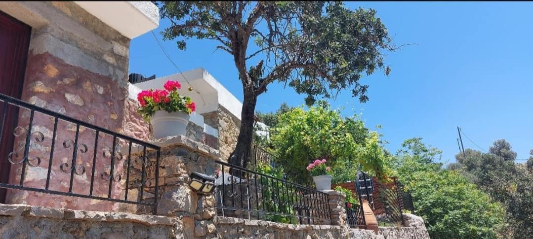 Villa Sarichel Nikithianos Exteriér fotografie